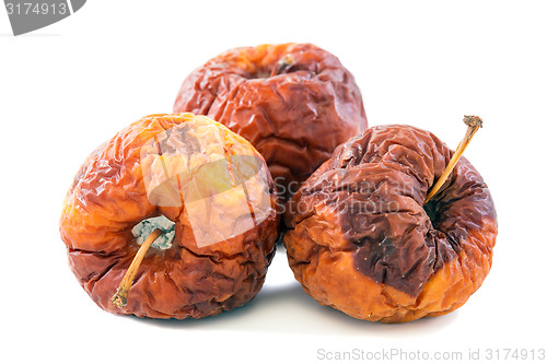 Image of Rotten apples.