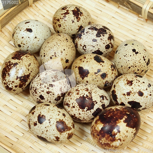 Image of Quail eggs.