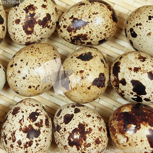 Image of Quail eggs.