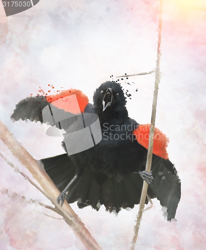 Image of Red Winged Blackbird Watercolor