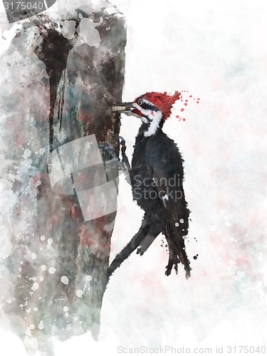 Image of Pileated Woodpecker Watercolor