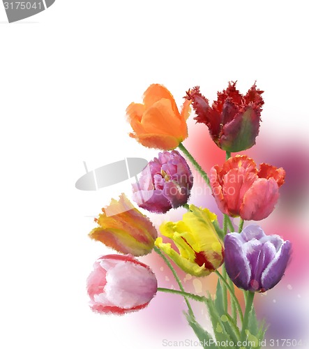 Image of Tulip Flowers