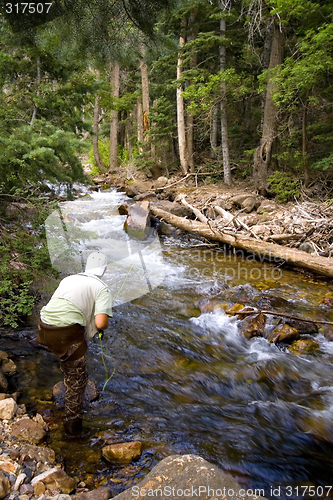 Image of Fisherman in River