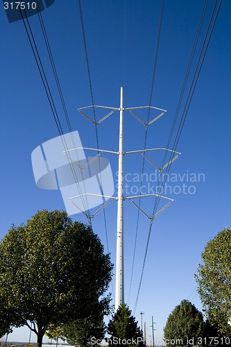 Image of Power Lines over the Trees