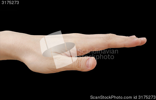 Image of White hand on black