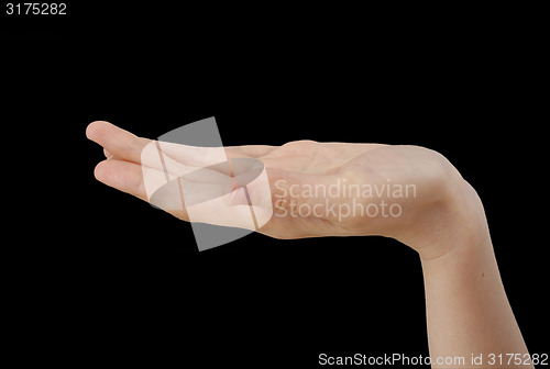 Image of White hand on black