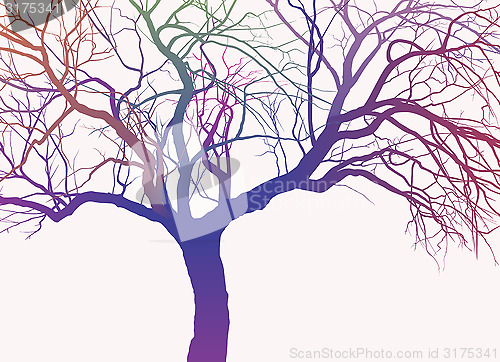 Image of Rainbow Tree