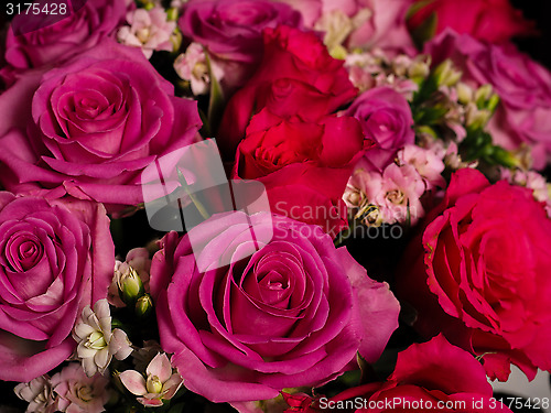 Image of Bouquet of beautiful pink roses at closeup