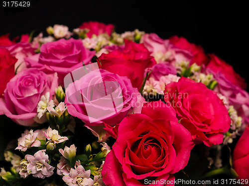 Image of Bouquet of pink roses at closeup towards black background