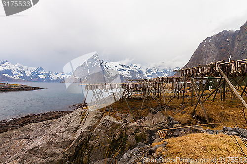 Image of Stockfish