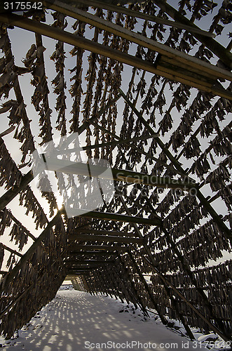 Image of A flake for drying fish