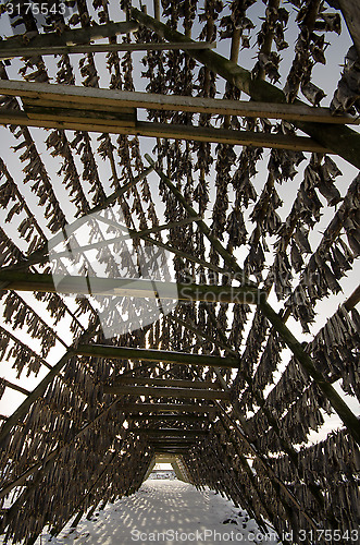 Image of A flake for drying fish