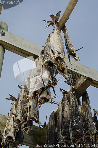 Image of A flake for drying fish