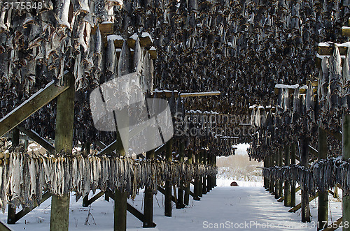 Image of A flake for drying fish