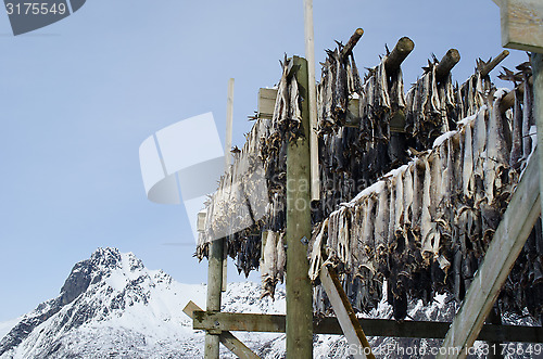 Image of A flake for drying fish