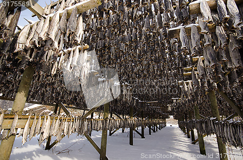 Image of A flake for drying fish