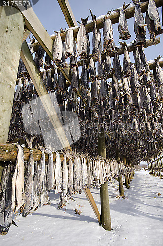 Image of A flake for drying fish