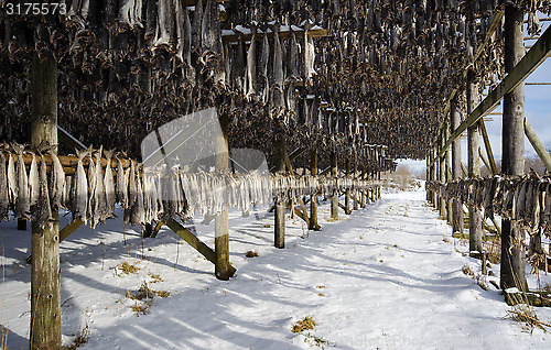 Image of A flake for drying fish