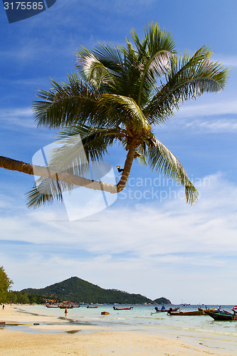 Image of sun ligt asia in the  kho tao   south china sea anchor