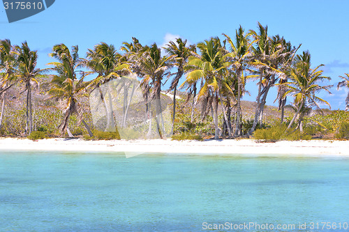 Image of isla contoy   sand   in   wave