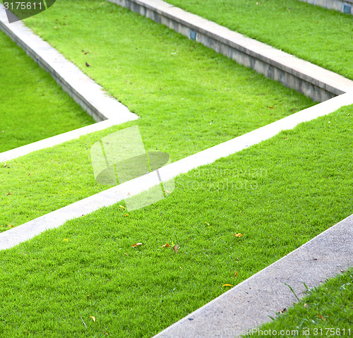 Image of thailand abstract  grass in the temple  bangkok  asia 