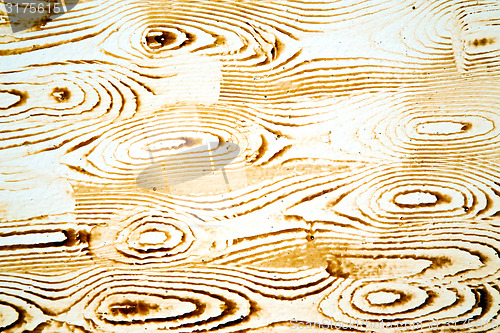 Image of nail  in  brown wood door and rusty yellow red