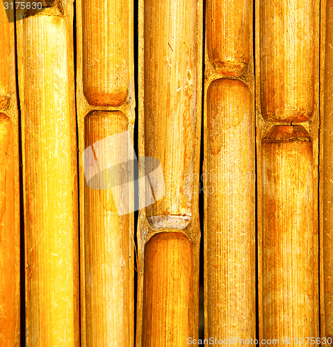 Image of thailand abstract cross bamboo in the temple kho phangan  