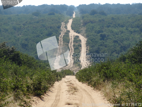 Image of Savannah road