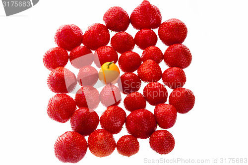 Image of Single Kumquat In A Crowd Of Strawberry Fruits