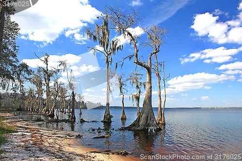 Image of Lake