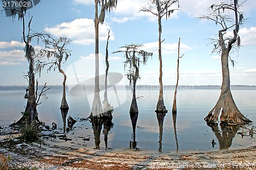 Image of Lake