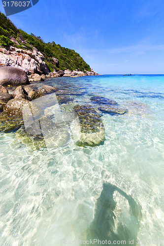 Image of   asia in the bay kho tao    white  beach     