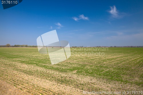 Image of Agriculture