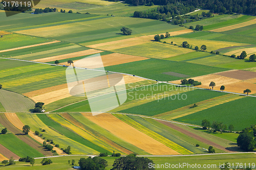 Image of Fields