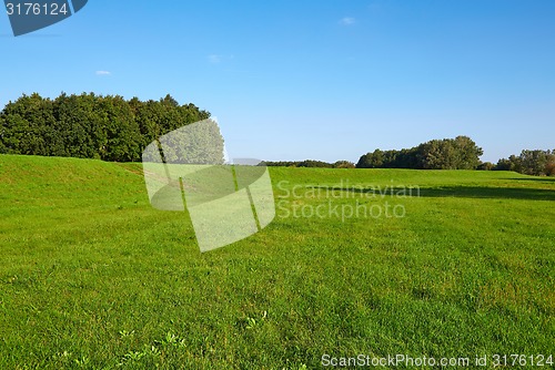 Image of Green Field