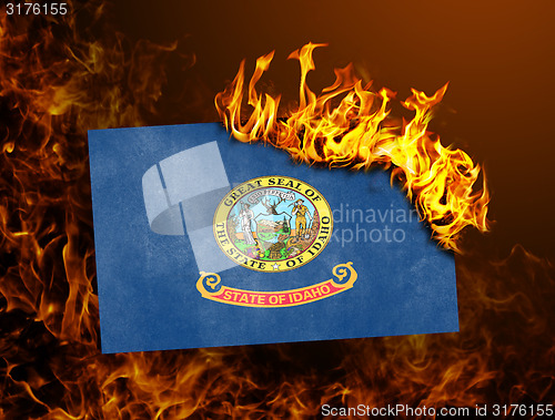 Image of Flag burning - Idaho