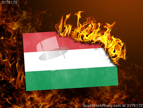 Image of Flag burning - Hungary