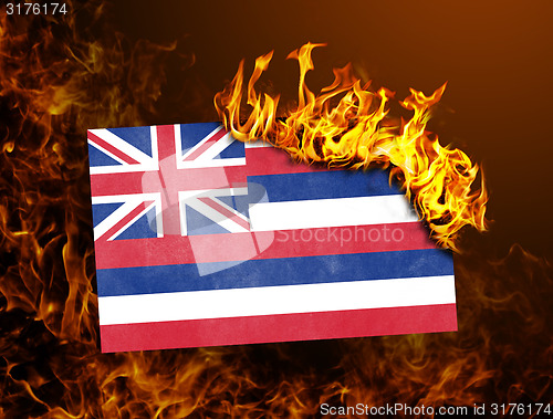 Image of Flag burning - Hawaii