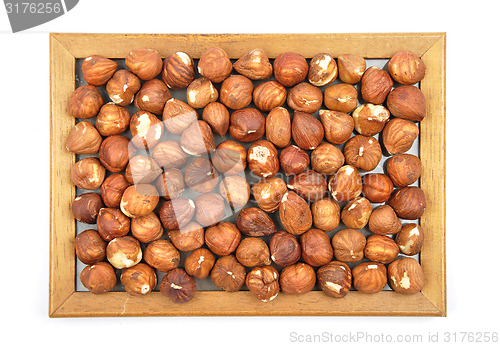 Image of Hazelnuts in wooden frame