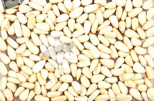 Image of Pine nuts background