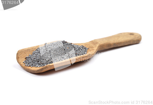 Image of Poppy seeds on shovel