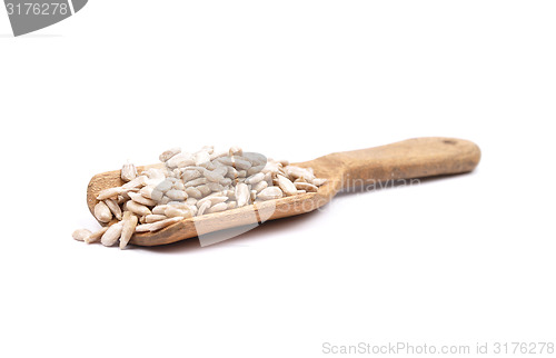 Image of Sunflower seeds on shovel