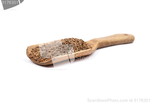 Image of Caraway seeds on shovel
