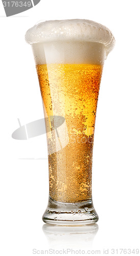 Image of Light beer