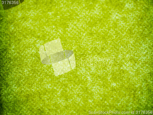 Image of Green paper background