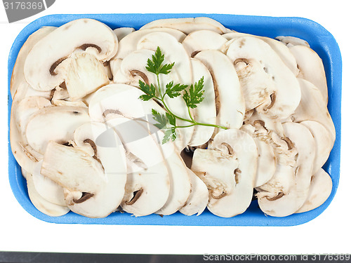 Image of Champignon mushroom isolated