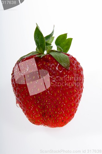 Image of strawberry