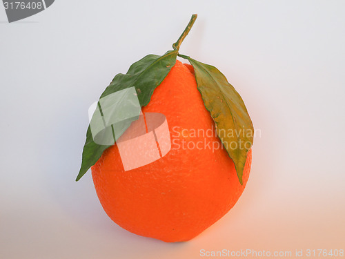 Image of Orange fruit