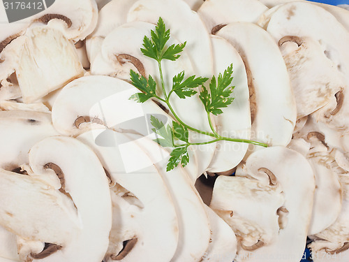 Image of Champignon mushroom background