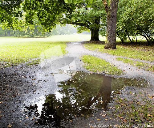 Image of Sunny path in park